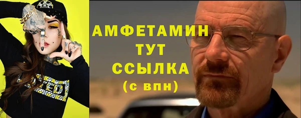 сатива Новодвинск