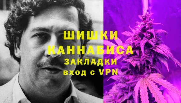 первитин Новозыбков