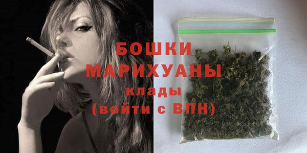 сатива Новодвинск