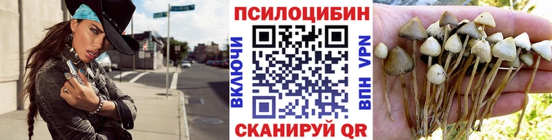 цены наркотик  mega ссылка  Псилоцибиновые грибы Psilocybe  Химки 