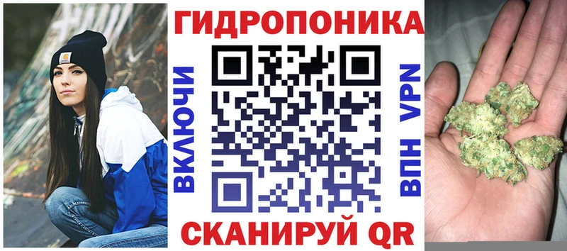 где купить наркоту  Химки  omg сайт  Бошки Шишки сатива 